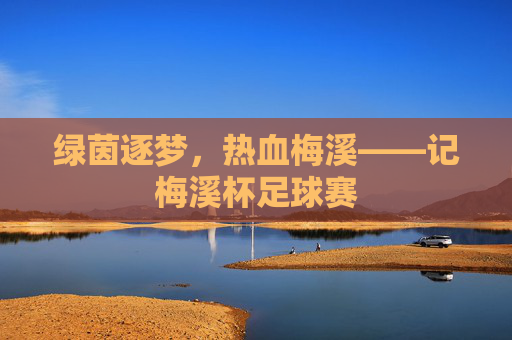 绿茵逐梦,热血梅溪——记梅溪杯足球赛