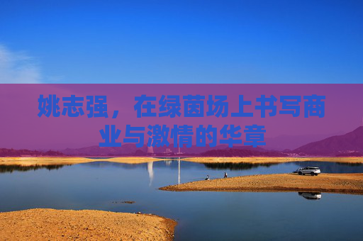姚志强,在绿茵场上书写商业与激情的华章