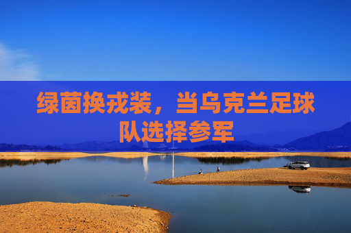 绿茵换戎装,当乌克兰足球队选择参军