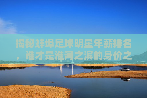 揭秘蚌埠足球明星年薪排名,谁才是淮河之滨的身价之王?