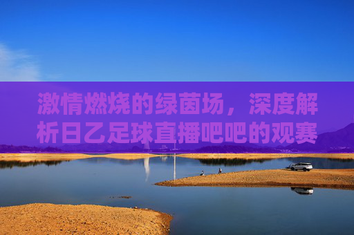 激情燃烧的绿茵场，深度解析日乙足球直播吧吧的观赛体验