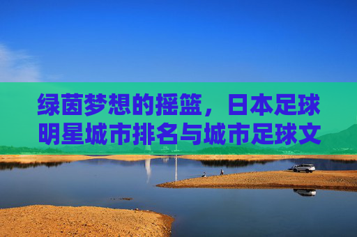 绿茵梦想的摇篮,日本足球明星城市排名与城市足球文化深度解析