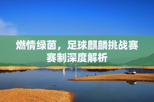 燃情绿茵,足球麒麟挑战赛赛制深度解析