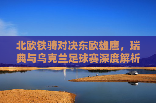 北欧铁骑对决东欧雄鹰,瑞典与乌克兰足球赛深度解析