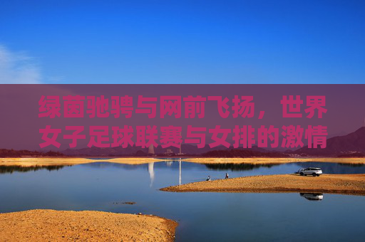绿茵驰骋与网前飞扬,世界女子足球联赛与女排的激情交响