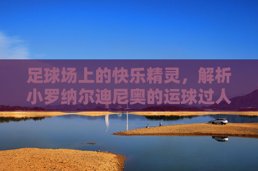 足球场上的快乐精灵,解析小罗纳尔迪尼奥的运球过人艺术