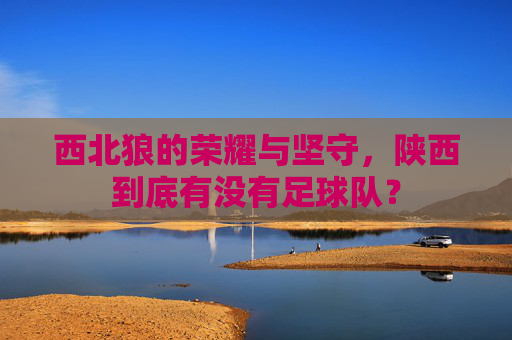 西北狼的荣耀与坚守,陕西到底有没有足球队?