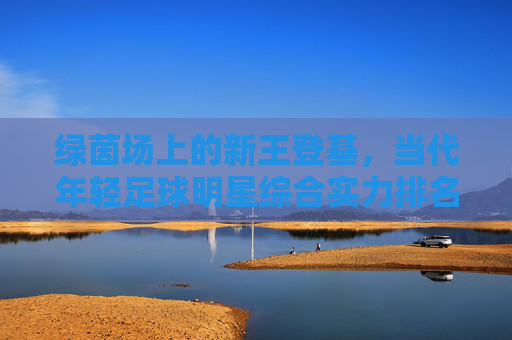 绿茵场上的新王登基,当代年轻足球明星综合实力排名