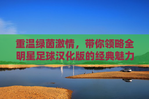 重温绿茵激情，带你领略全明星足球汉化版的经典魅力