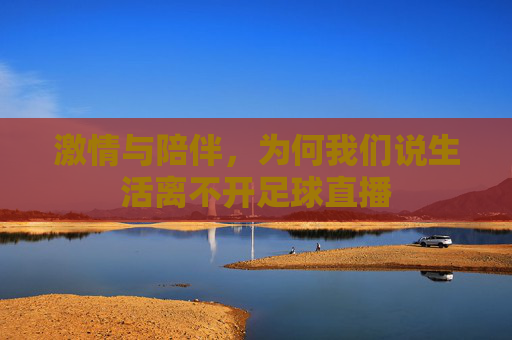 激情与陪伴,为何我们说生活离不开足球直播