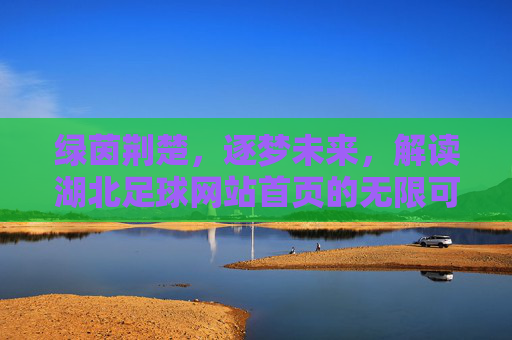 绿茵荆楚,逐梦未来,解读湖北足球网站首页的无限可能