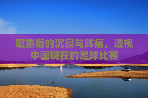 喧嚣后的沉寂与阵痛,透视中国现在的足球比赛