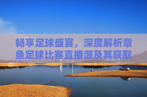 畅享足球盛宴，深度解析章鱼足球比赛直播源及其获取方式