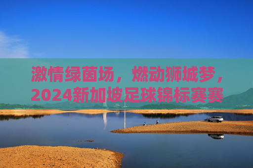 激情绿茵场,燃动狮城梦,2024新加坡足球锦标赛赛程全解析