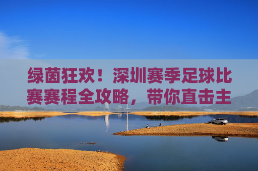 绿茵狂欢！深圳赛季足球比赛赛程全攻略，带你直击主场激情