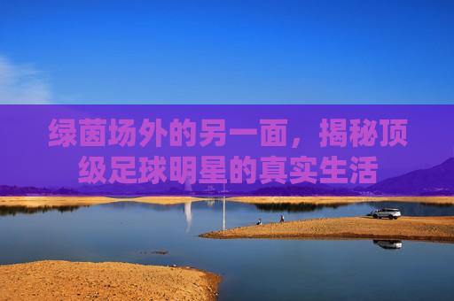 绿茵场外的另一面，揭秘顶级足球明星的真实生活