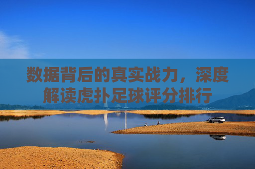 数据背后的真实战力,深度解读虎扑足球评分排行