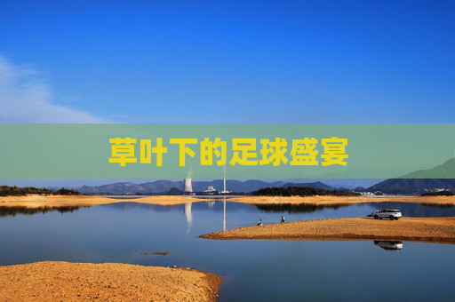 草叶下的足球盛宴