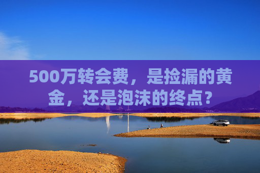 500万转会费,是捡漏的黄金,还是泡沫的终点?