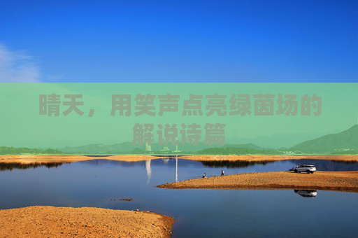 晴天,用笑声点亮绿茵场的解说诗篇