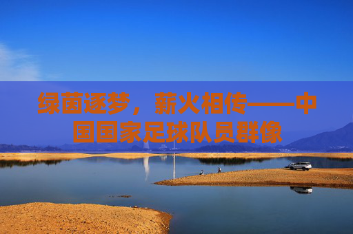 绿茵逐梦,薪火相传——中国国家足球队员群像