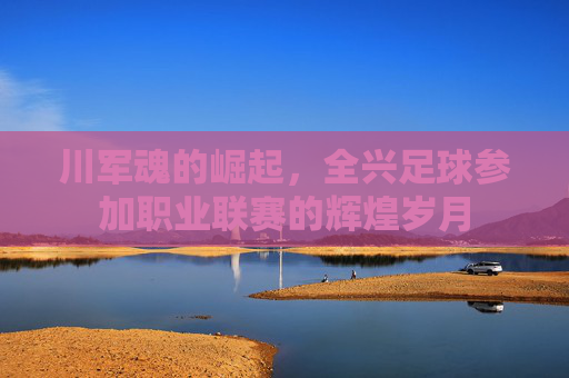 川军魂的崛起,全兴足球参加职业联赛的辉煌岁月