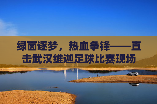 绿茵逐梦,热血争锋——直击武汉维迦足球比赛现场
