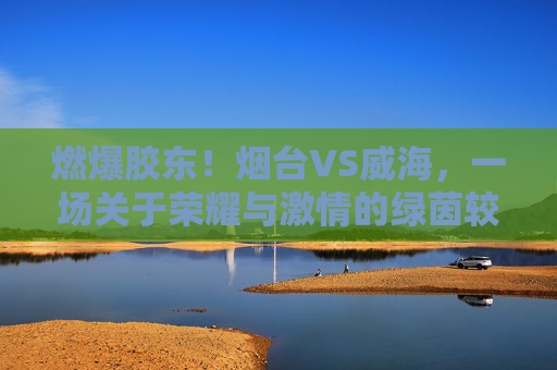 燃爆胶东!烟台VS威海,一场关于荣耀与激情的绿茵较量