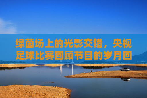 绿茵场上的光影交错,央视足球比赛回顾节目的岁月回响