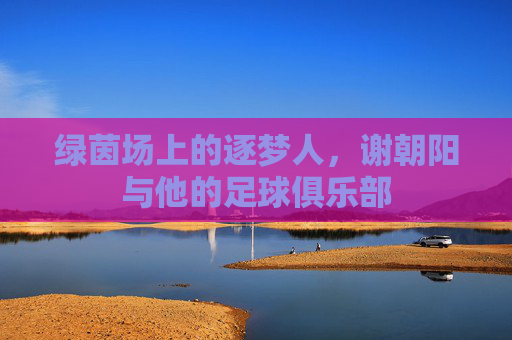 绿茵场上的逐梦人,谢朝阳与他的足球俱乐部