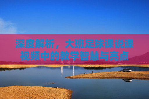 深度解析,大班足球课说课视频中的教学智慧与亮点