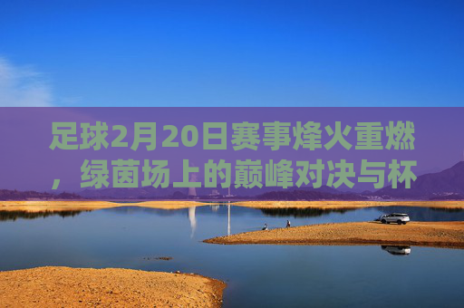 足球2月20日赛事烽火重燃,绿茵场上的巅峰对决与杯赛激战