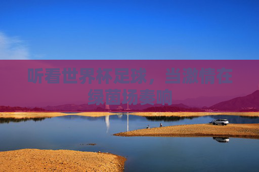 听看世界杯足球,当激情在绿茵场奏响