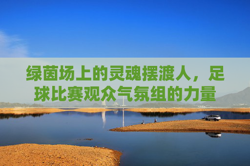 绿茵场上的灵魂摆渡人,足球比赛观众气氛组的力量