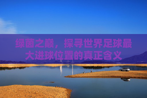 绿茵之巅，探寻世界足球最大进球位置的真正含义