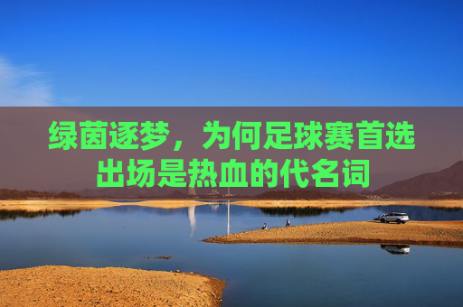 绿茵逐梦，为何足球赛首选出场是热血的代名词