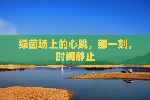 绿茵场上的心跳，那一刻，时间静止
