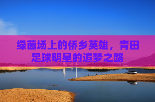 绿茵场上的侨乡英雄，青田足球明星的追梦之路