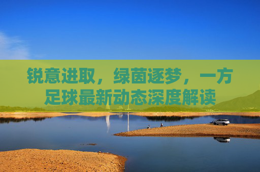 锐意进取，绿茵逐梦，一方足球最新动态深度解读