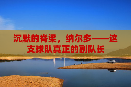 沉默的脊梁,纳尔多——这支球队真正的副队长