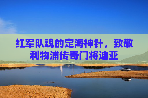 红军队魂的定海神针,致敬利物浦传奇门将迪亚