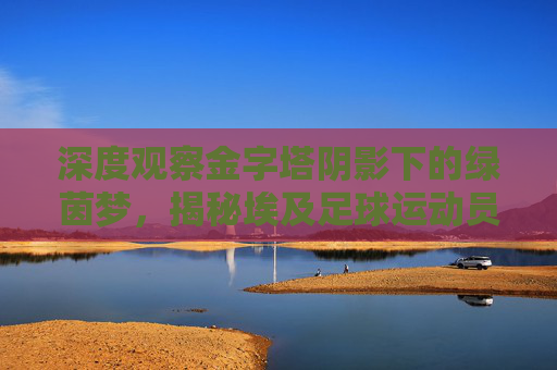 深度观察金字塔阴影下的绿茵梦,揭秘埃及足球运动员的薪资与待遇现状