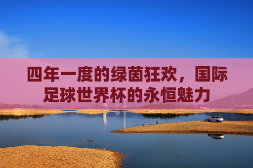 四年一度的绿茵狂欢,国际足球世界杯的永恒魅力