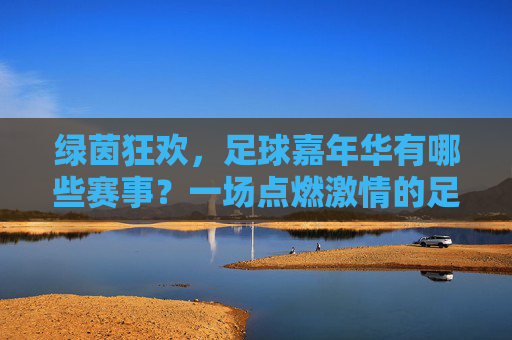 绿茵狂欢,足球嘉年华有哪些赛事?一场点燃激情的足球盛宴全解析