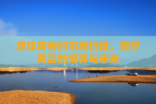 足球转会的市场价值,数字背后的博弈与未来