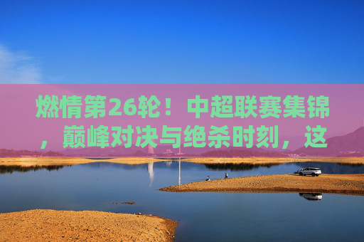燃情第26轮!中超联赛集锦,巅峰对决与绝杀时刻,这些瞬间不容错过