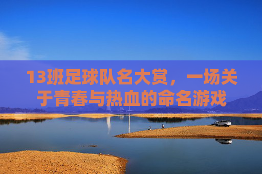 13班足球队名大赏,一场关于青春与热血的命名游戏