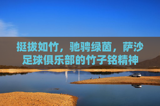 挺拔如竹，驰骋绿茵，萨沙足球俱乐部的竹子铭精神