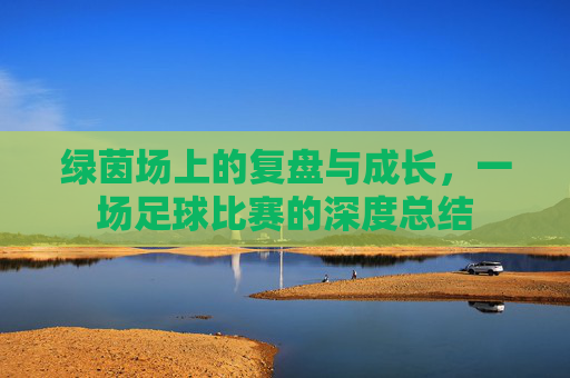 绿茵场上的复盘与成长,一场足球比赛的深度总结