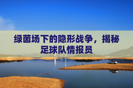 绿茵场下的隐形战争,揭秘足球队情报员